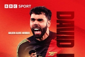 都丢球了！拉亚和森林门将塞尔斯英超零封锁定13场，共享金手套