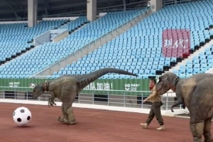 为助力常州首个奥体主场，常州恐龙园景区“恐龙战队”集体出差