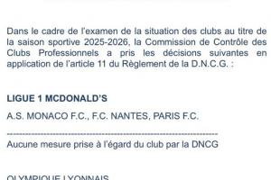 负债严重！官方：里昂因财务违规被判降入法乙