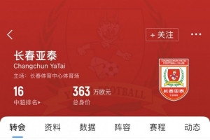 亚泰夏窗汇总：卡米洛顶替贝里奇，彭欣力、艾菲尔丁等人租借加盟