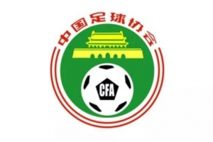 足协举行社会监督员一周年总结会，41名监督员参与监督238人次