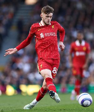 布拉德利：新球员带来了很大提升，我们原有得球员也非常出色