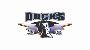 媒体人：北京队在内援引进方面了解到的有两个目标 都还未敲定