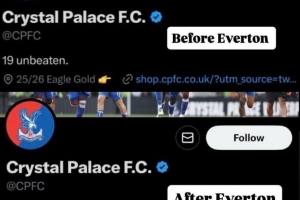 遭埃弗顿逆转绝杀，水晶宫官推删除连续19场不败的介绍