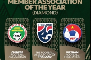 亚足联钻石协会提名名单：中国足协、泰国足协、越南足协