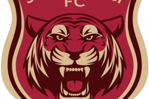 苗原：嘉定汇龙去宁波只差最后细节，宁波能直接支持到俱乐部