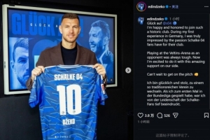 哲科：沙尔克04球迷的热情给我留下深刻印象 迫不及待想要比赛了